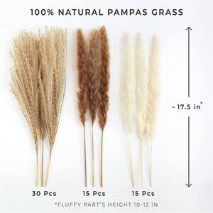 ARANTA Dried Pampas Grass - 60 Pcs 17.5 inch Premium
